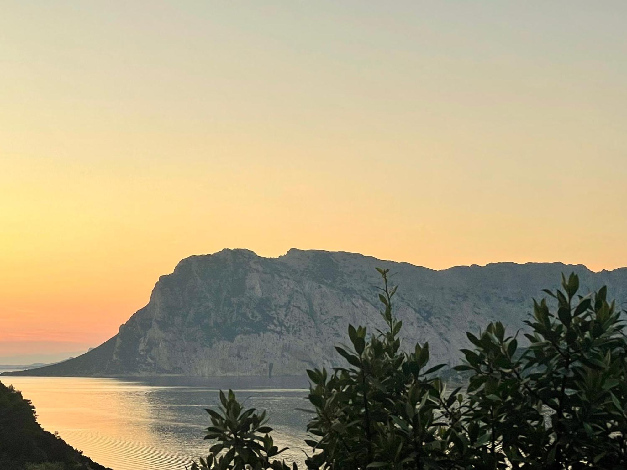 Apartamento San Teodoro Punta Est Monolocale Vista Mare Capo Coda Cavallo